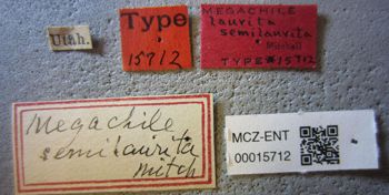 Media type: image;   Entomology 15712 Aspect: labels